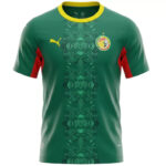 Senegal Uitshirt 2025/26