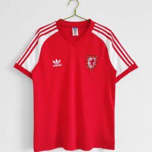 Shirt Wales 1980 1982 Thuis