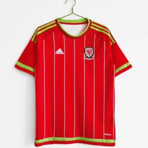 Shirt Wales 2015 Thuis